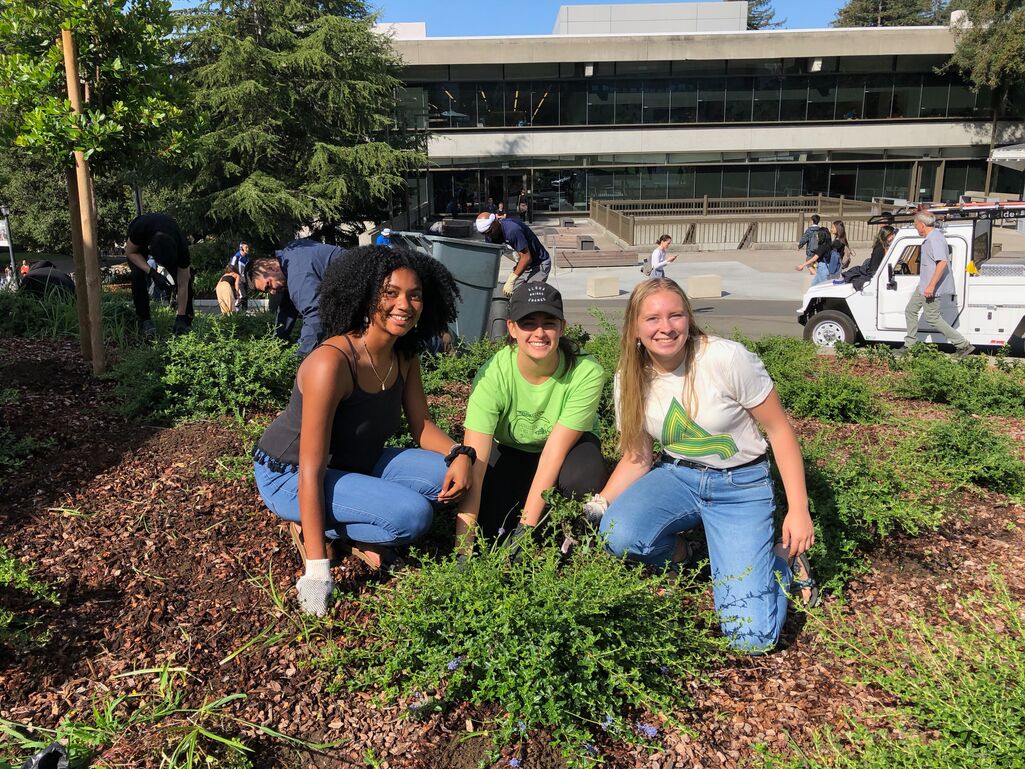 Mackenzie Feldman, Nyah Tisdell, and Mia Campbell volunteer their time to weed areas around the University of California Berkeley campus. Photo by Re:wild Your Campus